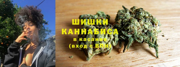 apvp Алзамай