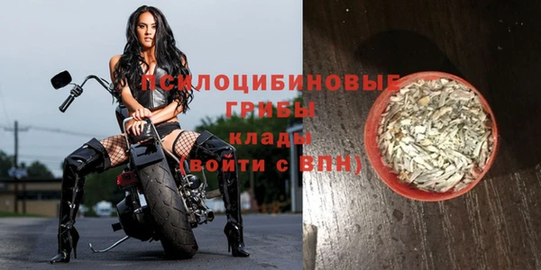 стаф Абинск