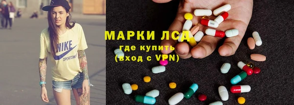 apvp Алзамай