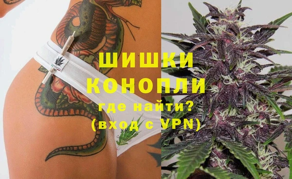 стаф Абинск