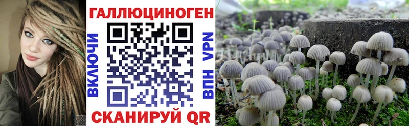 KRAKEN как зайти  наркошоп  Фёдоровский  Псилоцибиновые грибы Cubensis 